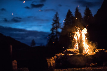 Camping bonfire with yellow and red flames in summer, forest. Copy space. - 283246455