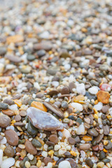 Sea stones on the seashore in the summer