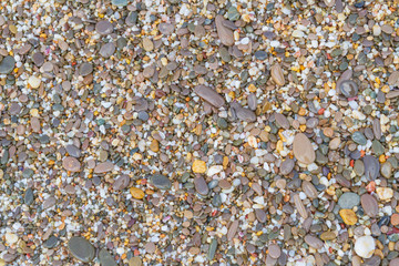Sea stones on the seashore in the summer