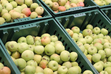 green apples in plastic boxes in the supermarket