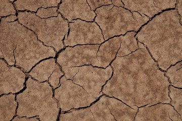 cracked soil from thirst