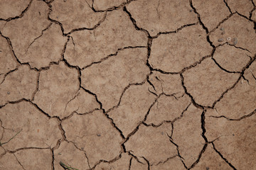 cracked soil from thirst