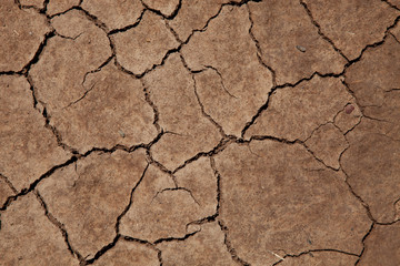 cracked soil from thirst
