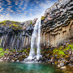 Amazing view of Svartifoss waterfall with basalt columns on South Iceland.