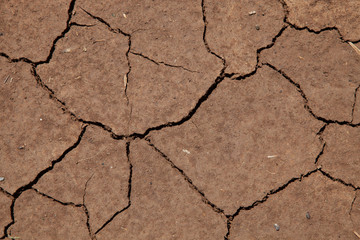 cracked soil from thirst