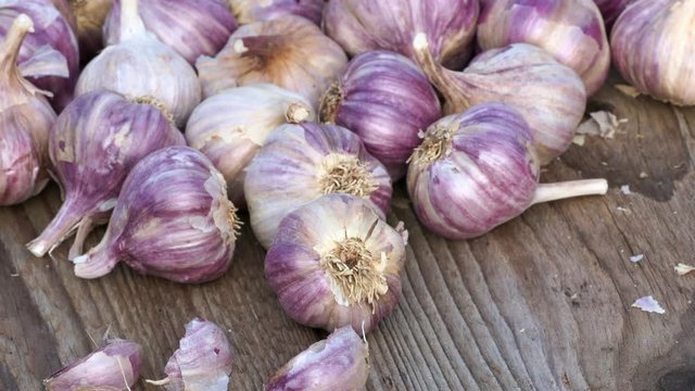 Garlic bulbs. Fresh garlic on the wooden table.