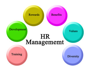 Six Fields of HR Managememt.