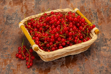 Sweet tasty fresh Red currant