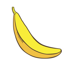 One banana cartoon isolated. Hand drawn banana.