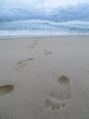 foodprints in the Sand