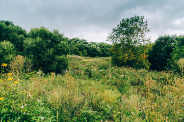 Forest nearby of Moscow, Serpukhov, park