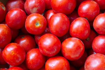Tomatoes background. Close up photo