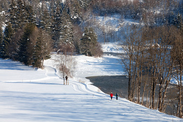 Alps in snow, Austrian