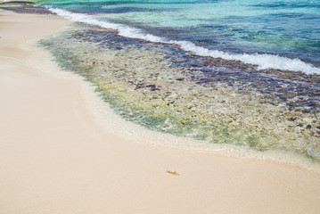 The shore of Winnifred Beach, a beautiful Jamaican lagoon close to Port Antonio, with copyspace