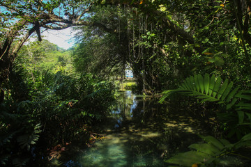 A caribbean dream - travel to Jamaica
