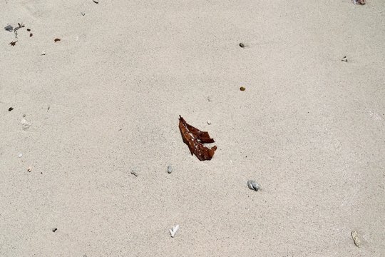 Detailed view on sand at the beach of the baltic sea in high resolution