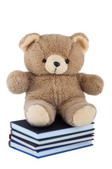 Teddy Bear sitting on books isolated on white background