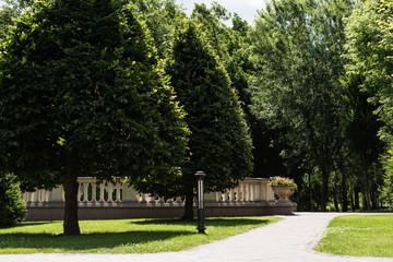 walkway near green trees with leaves in summertime
