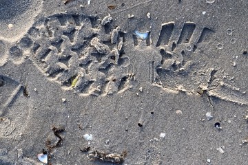 Detailed view on sand at the beach of the baltic sea in high resolution