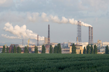 Fototapeta na wymiar smoke from the chimney of a working plant on a background of green wheat field, concept of respect for nature.
