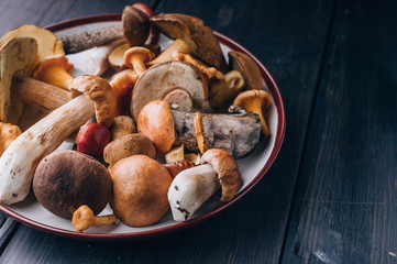 Edible mushrooms on a plate on a dark rustic background. Horizontal shot