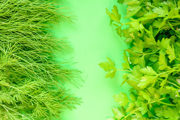 Parsley and dill on green background