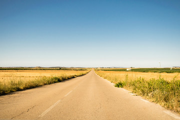 Fototapeta na wymiar landscape of straw fileds and road