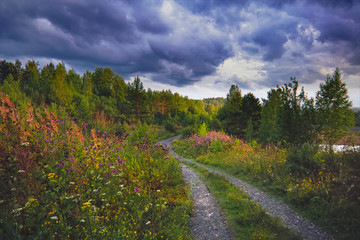 Sunset in the forest by the lake summer landscape.
