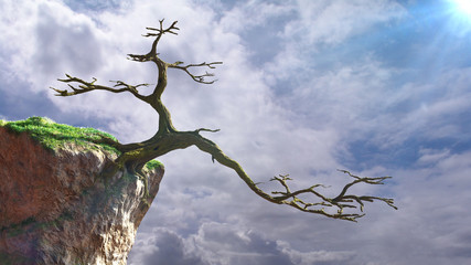 old dead tree on a cliff, fairy tale landscape