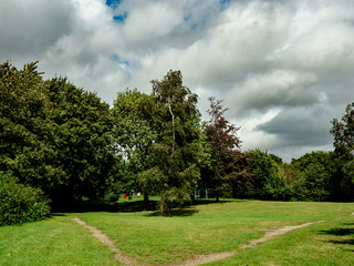 OLYMPUS DIGITAL CAMERA - PARK