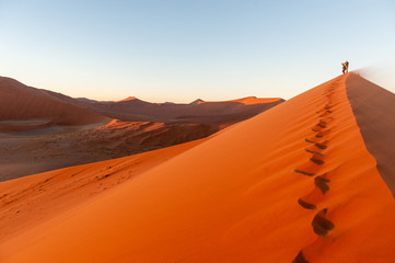 Early morning sunlight illuminating the red sand of Namibias sussusvlei - obrazy, fototapety, plakaty
