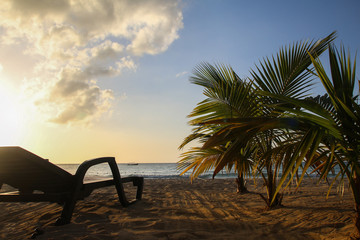 A caribbean dream - travel to Jamaica