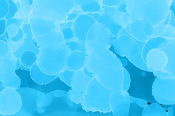 Hand painted blue alcohol ink background. Abstract delicate winter season texture. Contemporary wallpaper. 