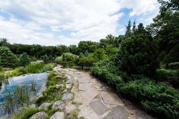 Path near stones, pond and green trees with fresh leaves in park