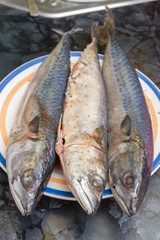 Raw fish mackerel lies on a plate before cooking