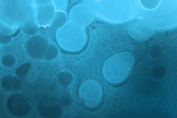 Hand painted blue alcohol ink background. Abstract delicate winter season texture. Contemporary wallpaper. 