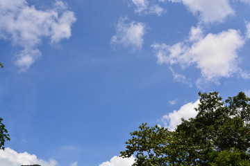blue sky and white clouds
