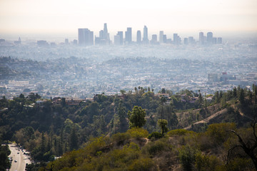 downtown los angeles from hills