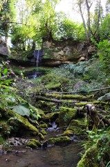 Fototapeta premium Wasserfall Laufenmühle Welzheim