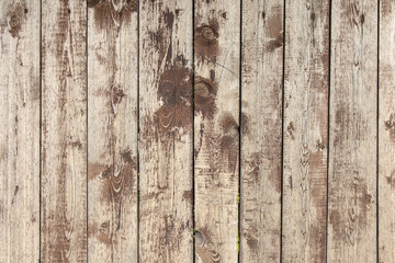 Background from old wooden boards