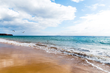 Panorama of beautiful beach and tropical sea of Lanzarote. Canaries