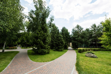 green fresh fir trees on grass near walkway in park