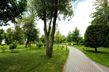 path near green trees on fresh grass against sky with clouds