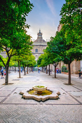 Seville Cathedral Gardens