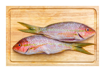 Yellowtail Snapper on