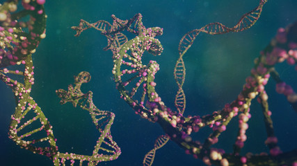 DNA molecule, double helix carrying genetic instructions