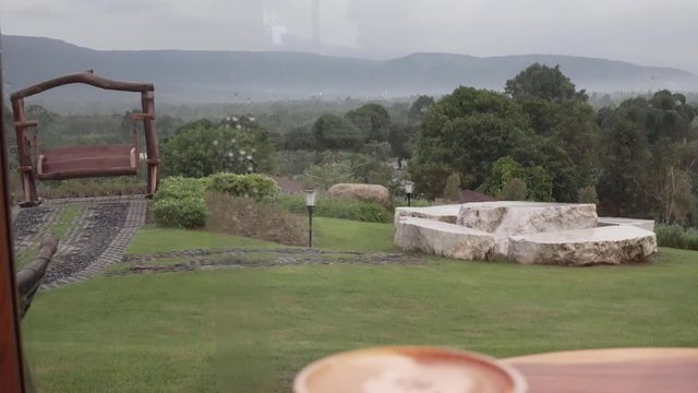 Juego de tazas de cristal para café, 4 unidades, con platillo Daisy