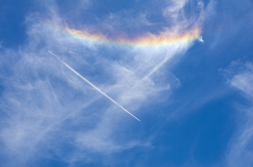 青空と飛行機雲と彩雲