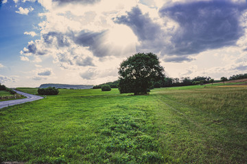 Landscape Wonderful Blue Sky Road Street Green Tree Effects Clouds