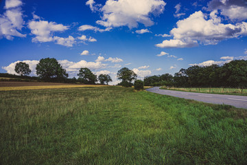 Landscape Wonderful Blue Sky Road Street Green Tree Effects